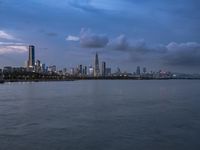 Shenzhen Cityscape: Coastal Skyline Overlooking the Sea