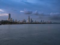 Shenzhen Cityscape: Coastal Skyline Overlooking the Sea