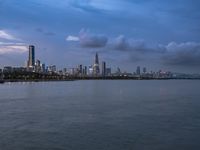 Shenzhen Cityscape: Coastal Skyline Overlooking the Sea