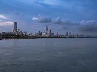 Shenzhen Cityscape: Coastal Skyline Overlooking the Sea