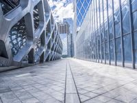 Shenzhen: A Metropolis of Glass Wall Reflections