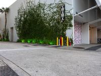 a white building sitting behind a green bush with neon lights in front of it and a sidewalk with trees surrounding