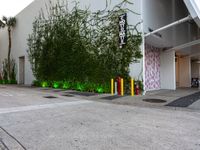 a white building sitting behind a green bush with neon lights in front of it and a sidewalk with trees surrounding