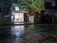 wet street next to store with green trees on both sides of it at night in an urban area