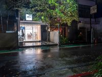 wet street next to store with green trees on both sides of it at night in an urban area