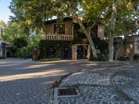 a manholed road with many trees in the middle of it and a building in the back