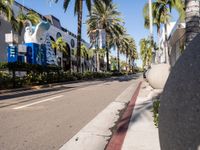 Shopping in Los Angeles: Asphalt Roads and Storefronts