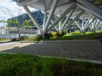 the sidewalk has been paved with red bricks, grass and trees next to it in the city