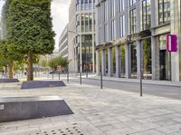 a sidewalk on the corner with benches and trees on both sides of it with people walking