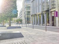 a sidewalk on the corner with benches and trees on both sides of it with people walking