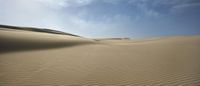 the dunes are covered in thin sand, a few meters from where the beach was