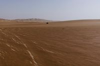 a lone tree in the middle of the desert against the background of large sand dunes with dirt