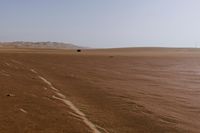 a lone tree in the middle of the desert against the background of large sand dunes with dirt