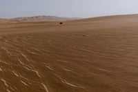 a lone tree in the middle of the desert against the background of large sand dunes with dirt