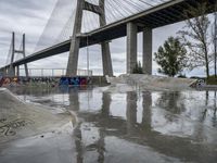 skate park with a long bridge above it in a cloudy sky, reflecting the water and graffiti on the concrete