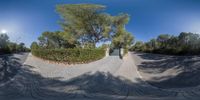 the view of a skateboard ramp from inside the gated enclosures at an empty skate park