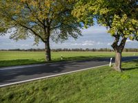 a person on a skateboard riding down the road in front of a tree lined road