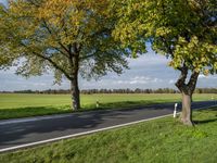 a person on a skateboard riding down the road in front of a tree lined road