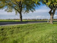 a person on a skateboard riding down the road in front of a tree lined road