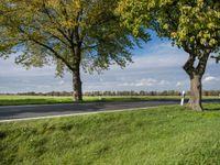 a person on a skateboard riding down the road in front of a tree lined road