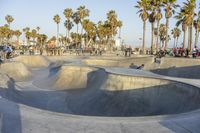 a skateboard park with many skateboarders skating in it next to palm trees