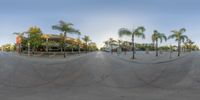 a skateboard ramp in the middle of a park with palm trees around it and a building in the background