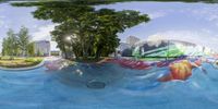 a photograph of a skateboard ramp near trees and some buildings in background at the edge of a pool