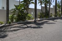 a skateboarder riding down the street with palm trees behind him and a building