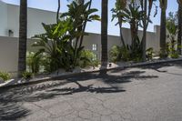 a skateboarder riding down the street with palm trees behind him and a building