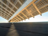 a skate boarder riding underneath the sun - streaked structure of a bridge at sunset