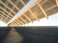 a skate boarder riding underneath the sun - streaked structure of a bridge at sunset