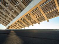 a skate boarder riding underneath the sun - streaked structure of a bridge at sunset