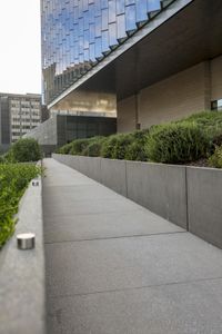 a skateboarder performs tricks next to a wall with grass and buildings in the background