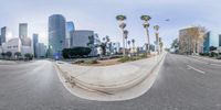 a skateboarder going down the sidewalk in a cityscape scene with palm trees