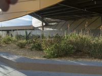 a skate boarder is riding on the path of an airport in california, with vegetation and gravel