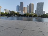 a skateboarder on a cement surface overlooking the water and tall buildings in a city