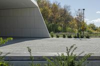 a skateboarder rides on an empty parking lot between trees and bushes in front of a building