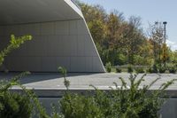 a skateboarder rides on an empty parking lot between trees and bushes in front of a building