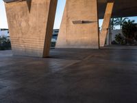 a skateboarder does a trick near a large structure and palm trees outside a building