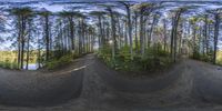 a 360 - image of a skateboarder performing a trick in the woods near trees