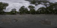 several skateboarders are riding on a brick path near the woods and trees in a circular panoramic view