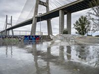 a group of skateboarders performing tricks near the bridge over the water and graffiti