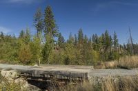 a man riding his skateboard over a broken bridge that is surrounded by woods and a forest