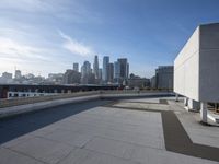 a man that is holding a skateboard up to a wall in the city of skyscrapers