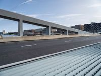 a person is riding a skateboard over a bridge near a cityscape and buildings