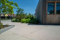 a person on a skateboard stands in an enclosed space near some flowers and bushes