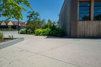 a person on a skateboard stands in an enclosed space near some flowers and bushes