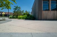 a person on a skateboard stands in an enclosed space near some flowers and bushes