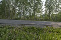 the skateboard is riding down the road near the trees on a sunny day,