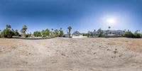 a skateboarder performing a trick on a small ramp in the desert with palm trees